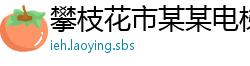 攀枝花市某某电梯维修站